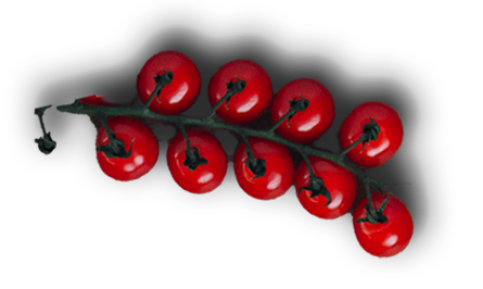 Tomaten